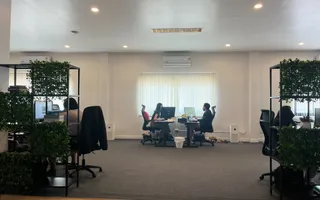 Specialists at their desks between plant-covered shelving in the Chiang Mai office