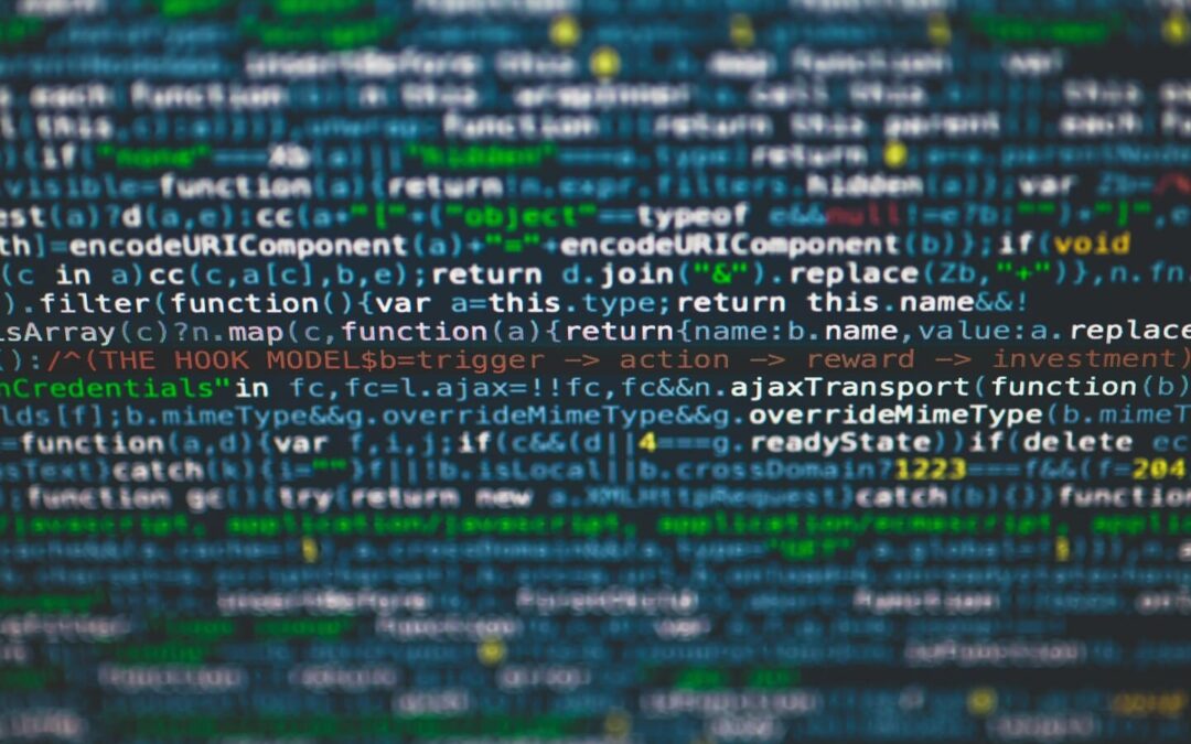 Desirable Career Paths for Software Developers in 2024